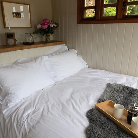 Luxury, Rural Shepherds Hut With Hot Tub Nr Bath ブリストル エクステリア 写真